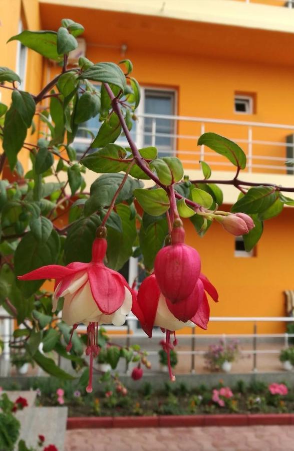 Vila Oranj Costinesti Exterior foto